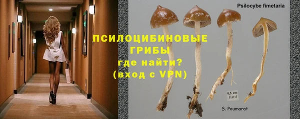 каннабис Алексеевка