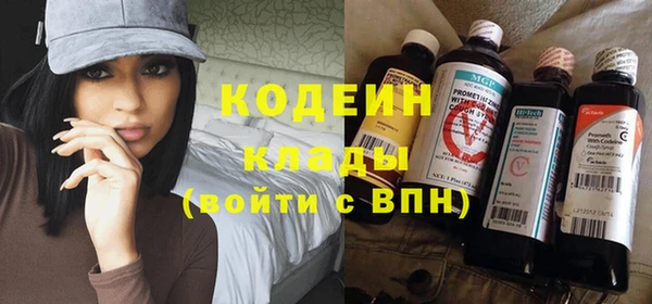 твердый Новодвинск