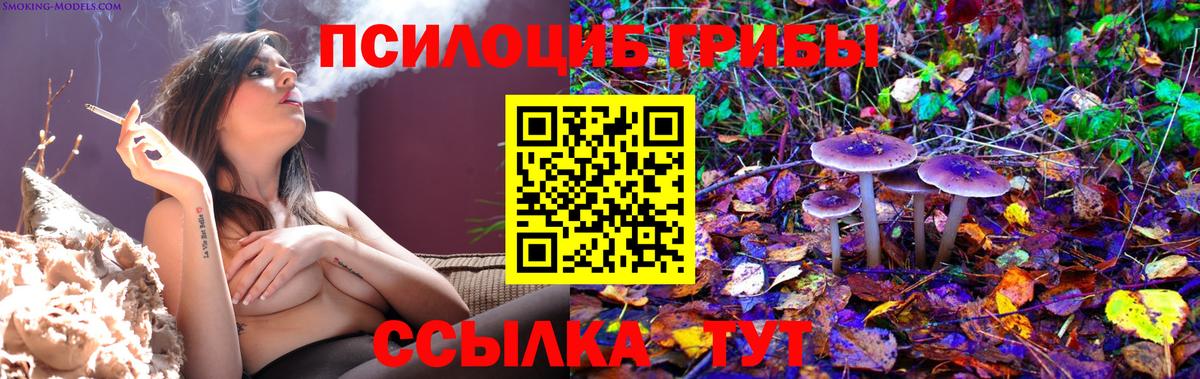 Псилоцибиновые грибы Psilocybine cubensis  Псилоцибиновые грибы мухоморы  Вход с VPN  Похвистнево 