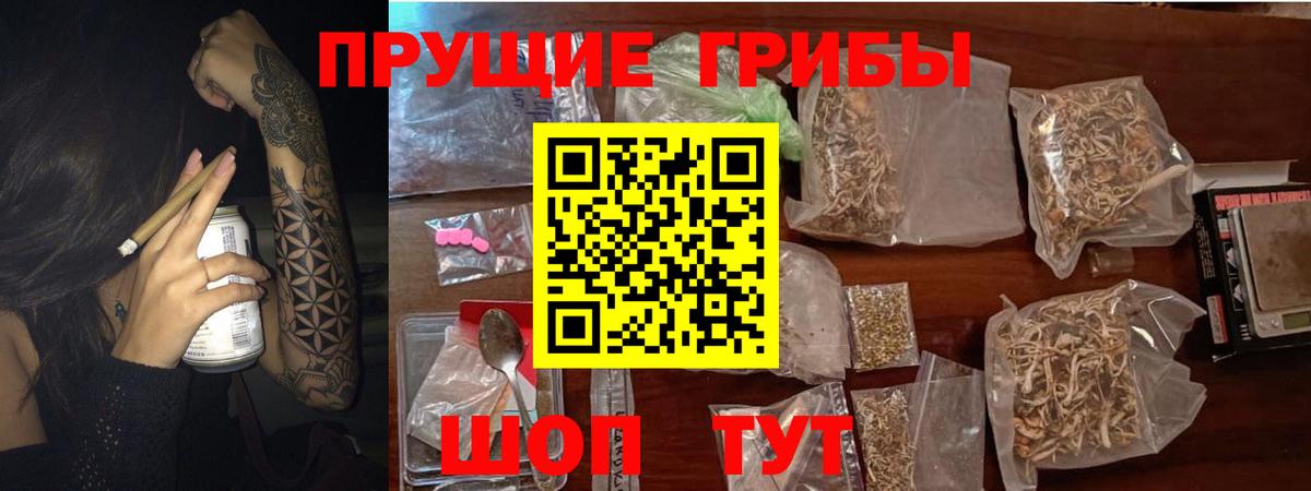 Галлюциногенные грибы MAGIC MUSHROOMS Похвистнево